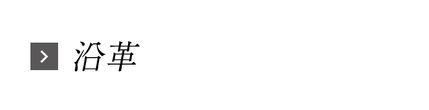 沿革