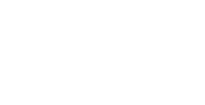GLOBAL PRESENCE
