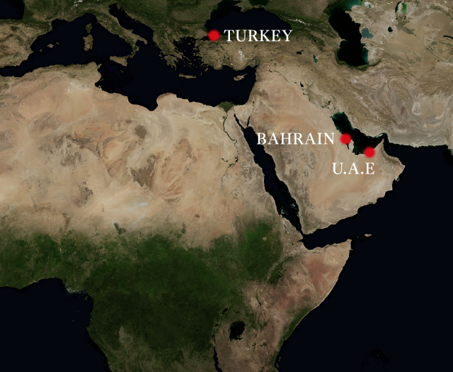 MIDDLE EAST & AFRICA
