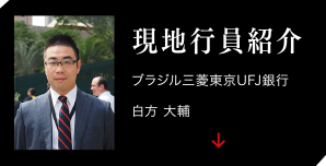 現地行員紹介